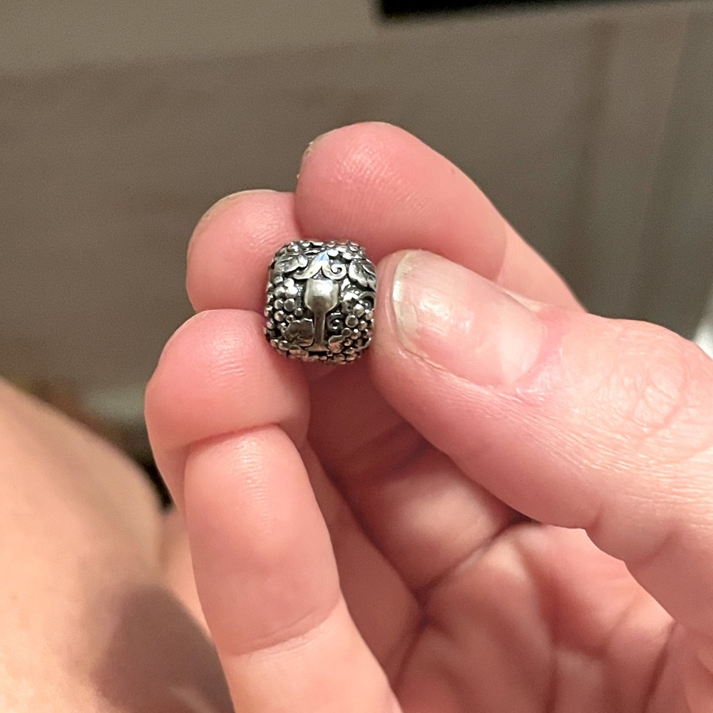 Pandora Charm